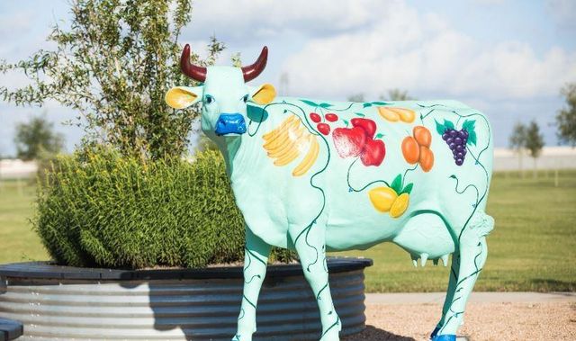 415 Yellow Dandelion Lane, Richmond, TX 77406