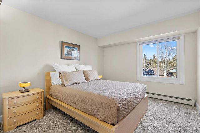 29704 Paint Brush Drive, Evergreen, CO 80439