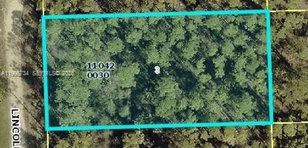 1120 Lincoln Ave, Lehigh Acres, FL 33972