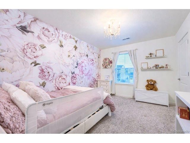 17341 Red Cosmos Pt, Parker, CO 80134