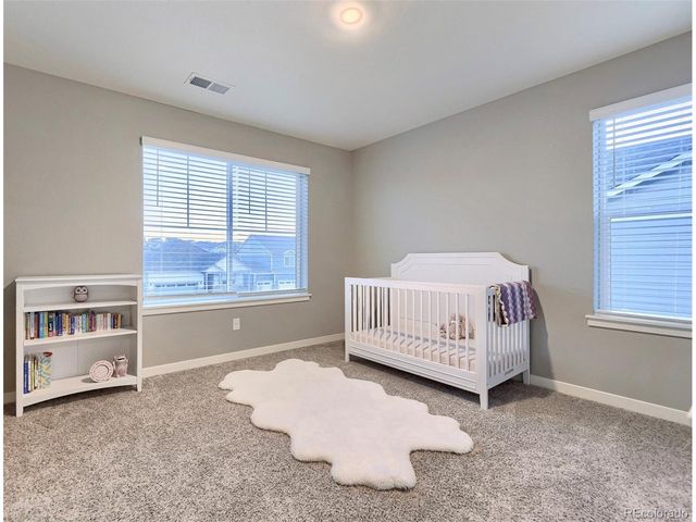 17341 Red Cosmos Pt, Parker, CO 80134