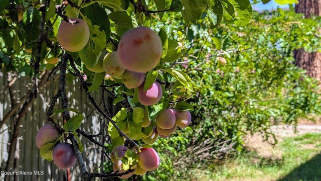 6577 Comanche St., Bonners Ferry, ID 83805