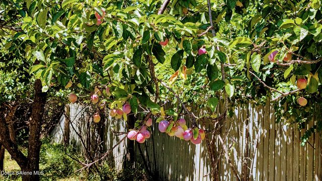 6577 Comanche St., Bonners Ferry, ID 83805