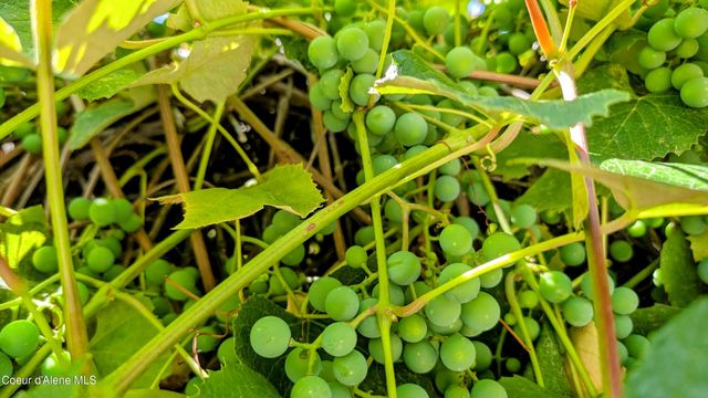 6577 Comanche St., Bonners Ferry, ID 83805