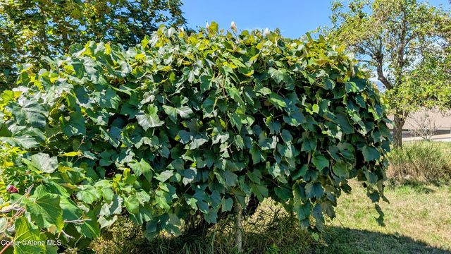 6577 Comanche St., Bonners Ferry, ID 83805