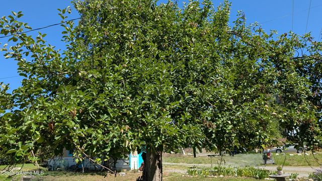 6577 Comanche St., Bonners Ferry, ID 83805