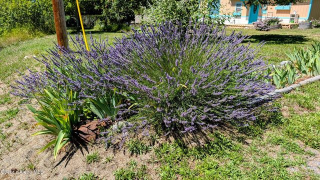 6577 Comanche St., Bonners Ferry, ID 83805