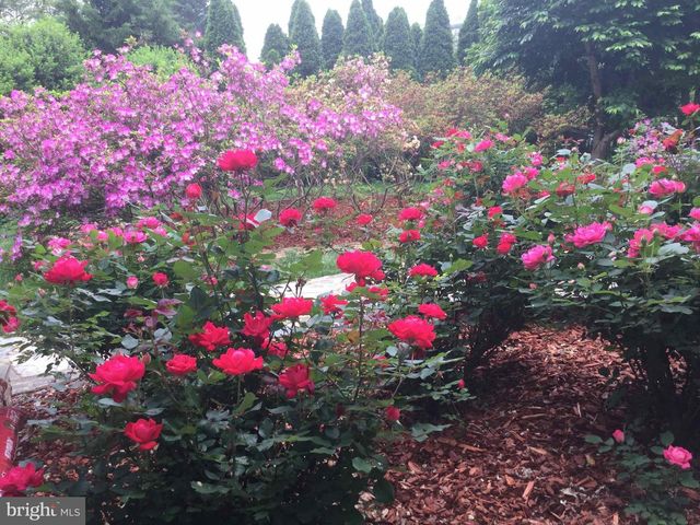 9720 FIVE OAKS RD, Fairfax, VA 22031