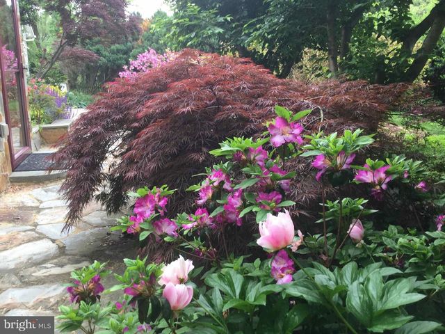 9720 FIVE OAKS RD, Fairfax, VA 22031