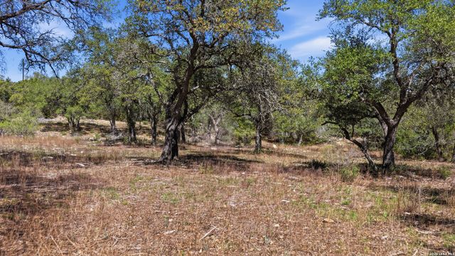 11387 FM 32, Fischer, TX 78623