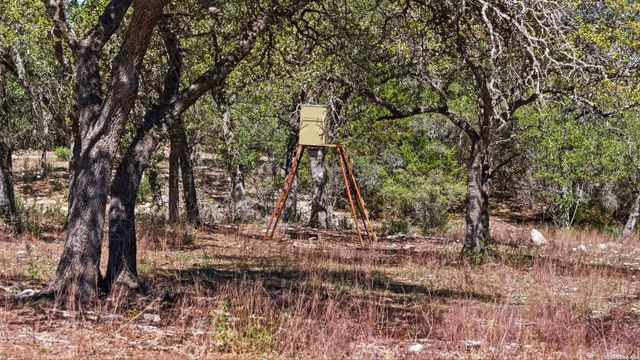 11387 FM 32, Fischer, TX 78623