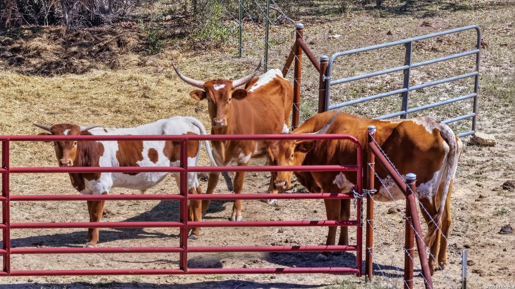11387 FM 32, Fischer, TX 78623