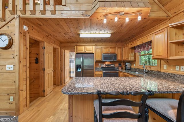 481 Johns Ridge Road, Blue Ridge, GA 30513