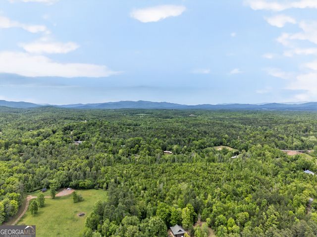 481 Johns Ridge Road, Blue Ridge, GA 30513