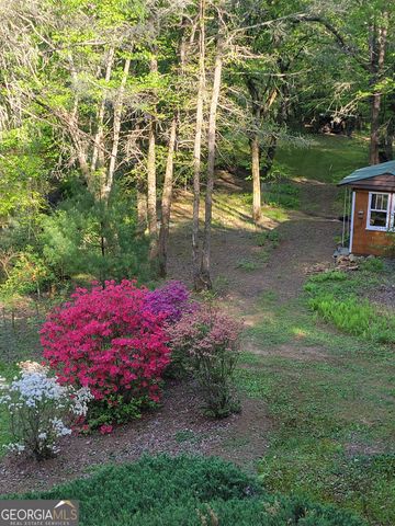 481 Johns Ridge Road, Blue Ridge, GA 30513