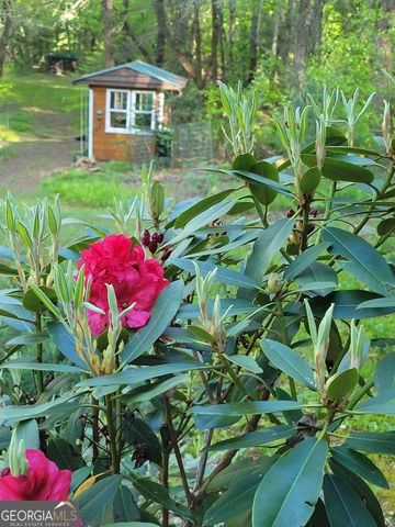 481 Johns Ridge Road, Blue Ridge, GA 30513