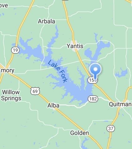 161 Pillsbury Circle, Quitman, TX 75783