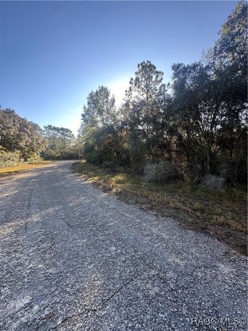 3908 W Tropic Lane, Dunnellon, FL 34433