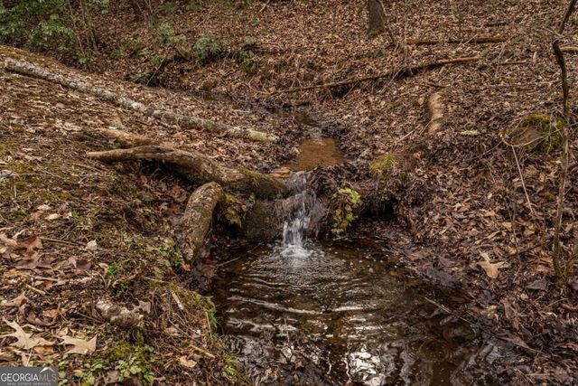 15 Bootleg Mountain Road 11, Morganton, GA 30560