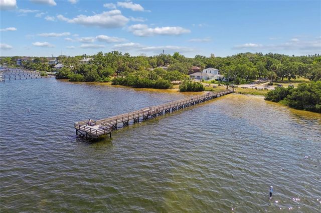 316 INDIANA AVENUE, Crystal Beach, FL 34681