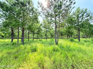 Stout Farms Drive, Madison, MS 39110