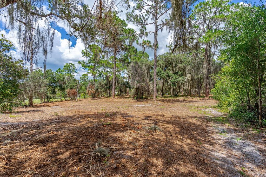 Image 9 of property listing at TWIN OAK STREET, Deltona, FL 32725
