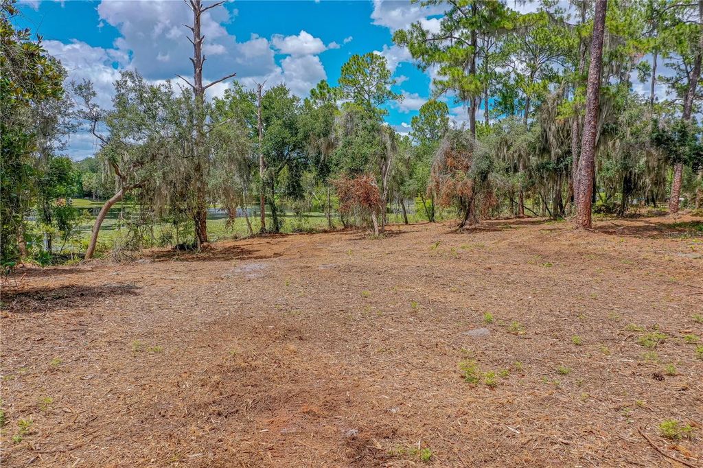 Image 10 of property listing at TWIN OAK STREET, Deltona, FL 32725