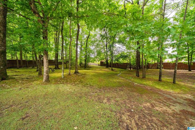 4516 EAGLE POINT DRIVE, Birmingham, AL 35242