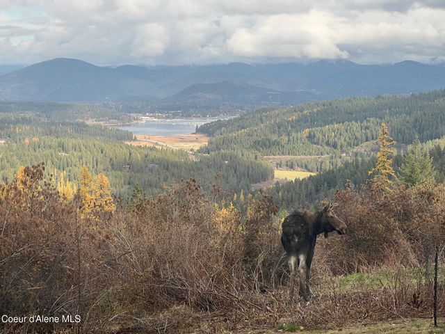 7801 W Eagle Ridge Rd, Coeur D'alene, ID 83814