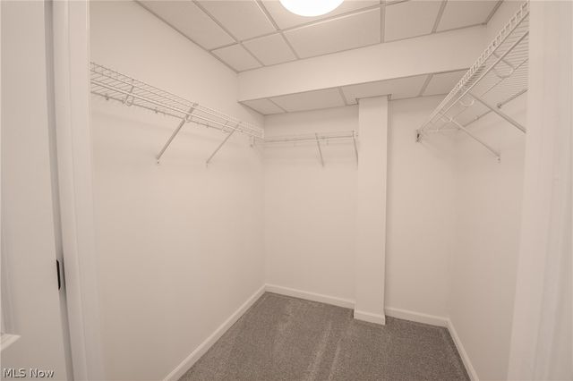 330 Blossom Lane, Orange, OH 44022