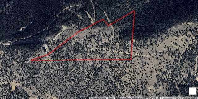 1961 Fools Gold Road, Idaho Springs, CO 80452