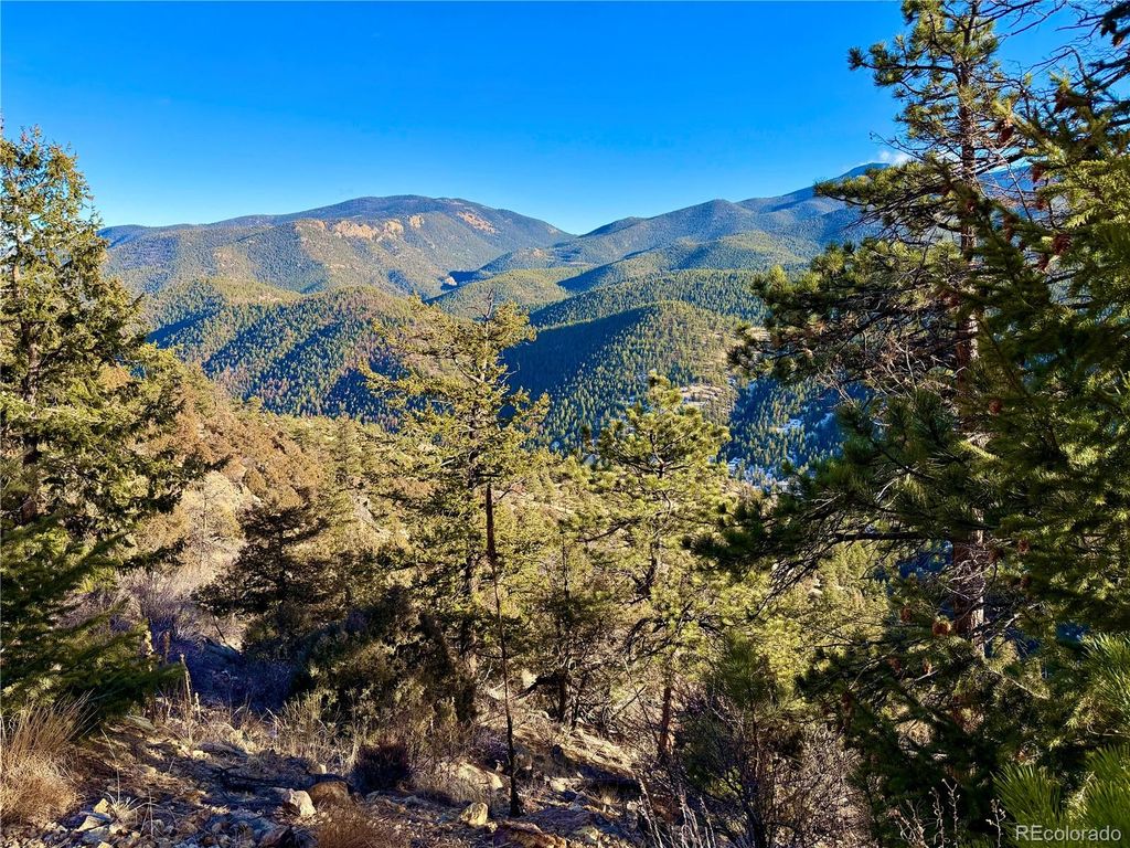 1961 Fools Gold Road, Idaho Springs, CO 80452