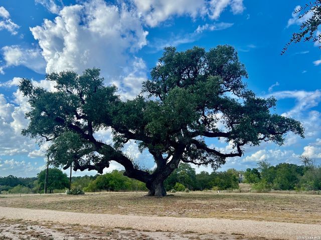 106 EAGLE CREEK RANCH BLVD, Floresville, TX 78114
