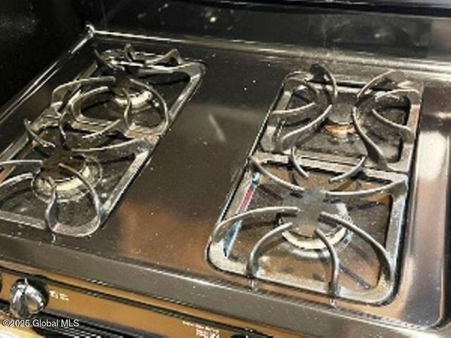 11 Beaureguard Way, Minerva, NY 12851