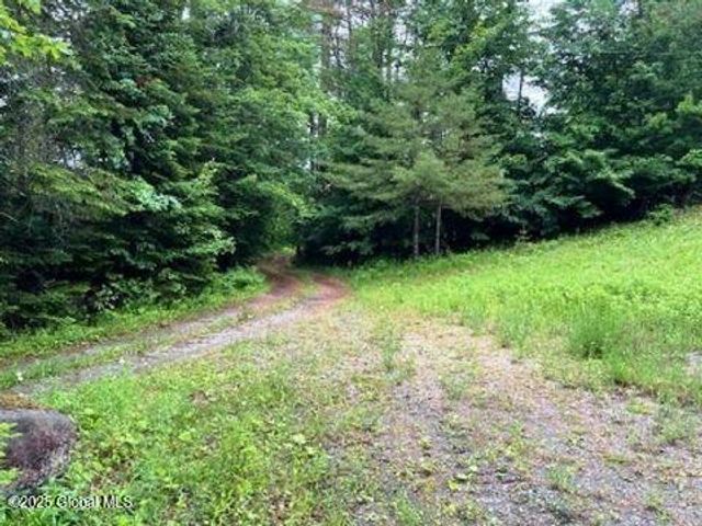 11 Beaureguard Way, Minerva, NY 12851