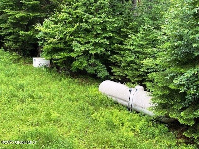 11 Beaureguard Way, Minerva, NY 12851