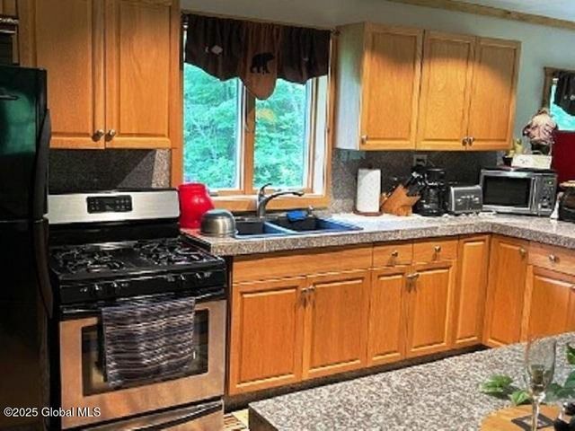 11 Beaureguard Way, Minerva, NY 12851