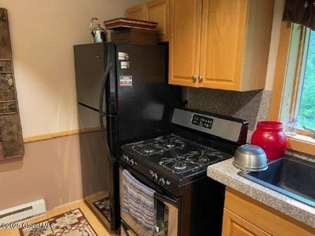 11 Beaureguard Way, Minerva, NY 12851