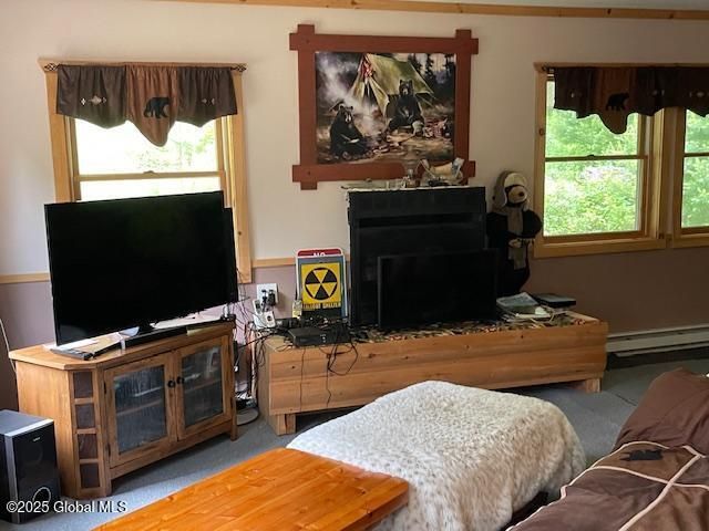 11 Beaureguard Way, Minerva, NY 12851