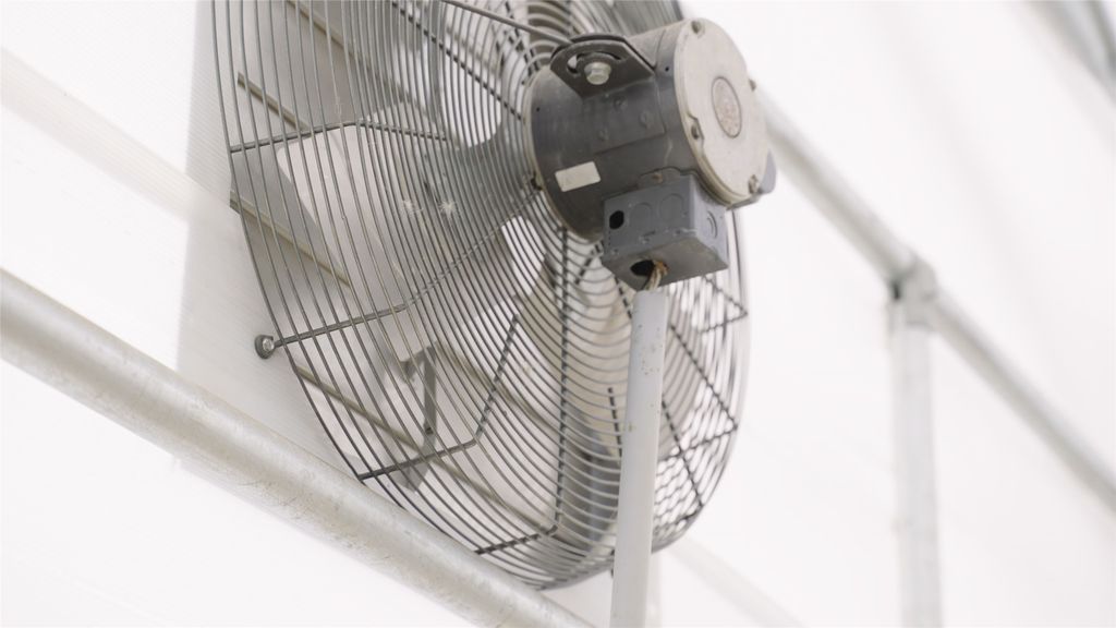 8240 Island Lake Road, Marion, MT 59925 photo 36