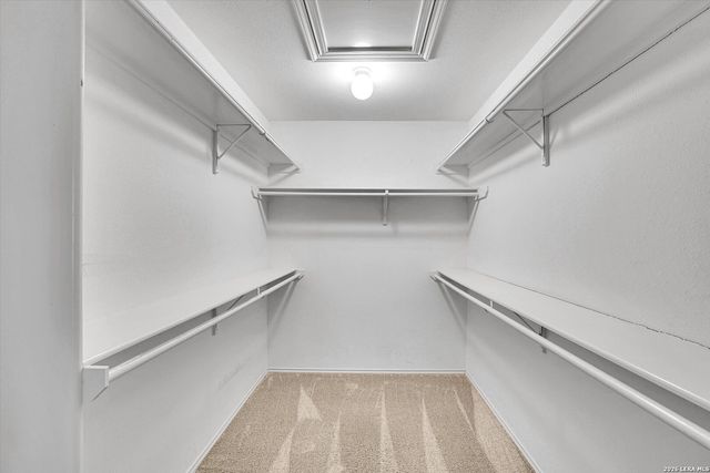 1210 Ambridge St, San Antonio, TX 78258