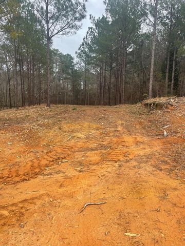 Lot 51 & 52 Lakeview Street, Abbeville, AL 36345