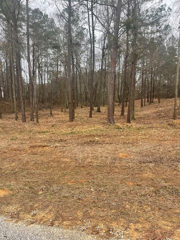 Lot 51 & 52 Lakeview Street, Abbeville, AL 36345