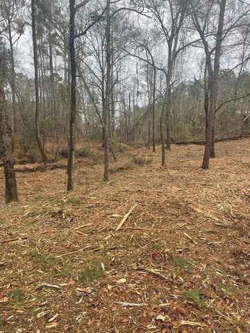 Lot 51 & 52 Lakeview Street, Abbeville, AL 36345