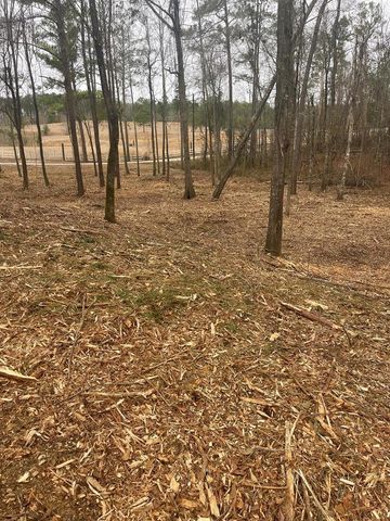 Lot 51 & 52 Lakeview Street, Abbeville, AL 36345