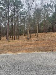 Lot 51 & 52 Lakeview Street, Abbeville, AL 36345