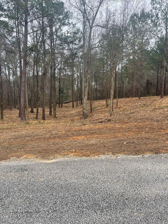 Lot 51 & 52 Lakeview Street, Abbeville, AL 36345