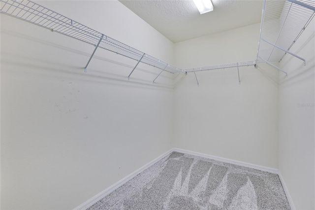 5041 CASPIAN STREET, St Cloud, FL 34771
