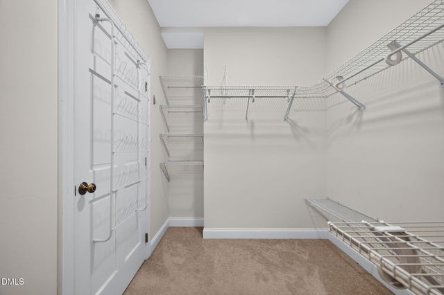 3009 Damson Court, Wake Forest, NC 27587
