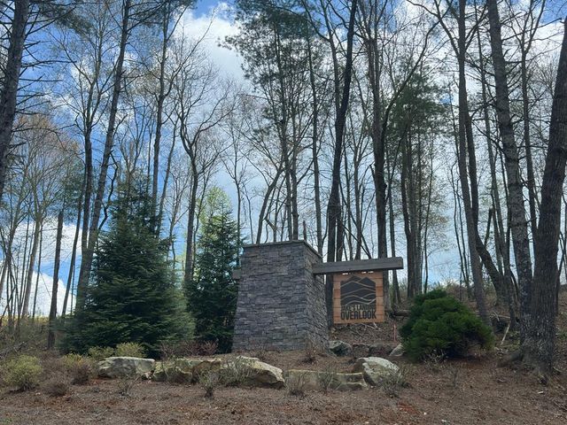 497 S Jakes Landing Way, Ellijay, GA 30540